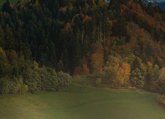粉象生活怎么赚钱