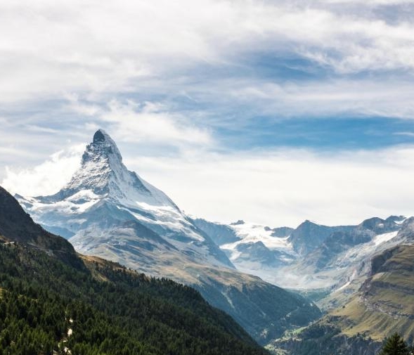 粉象生活经济基础
