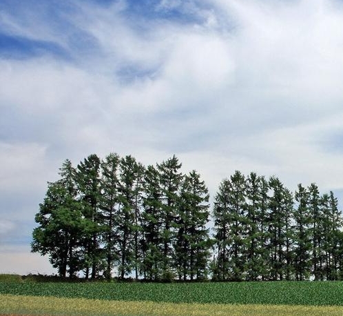粉象生活合法吗?是正规平台吗?