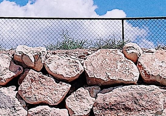 粉象生活是什么样的平台