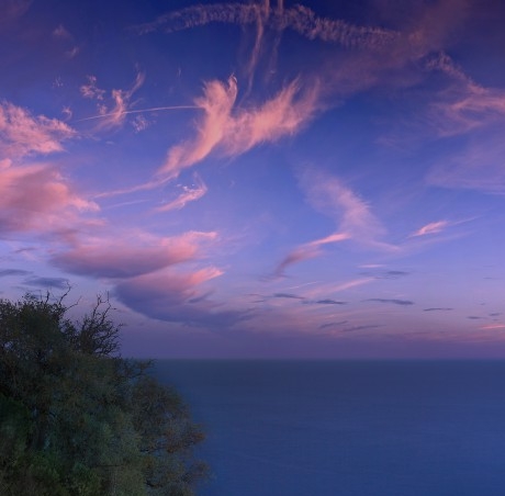 粉象生活怎么快速推广