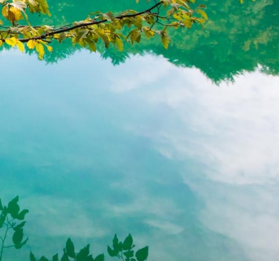 粉象生活推广有佣金吗