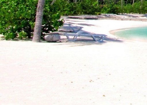 粉象生活怎么用淘宝