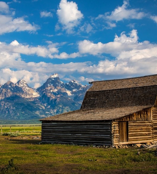 粉象生活可以赚钱吗
