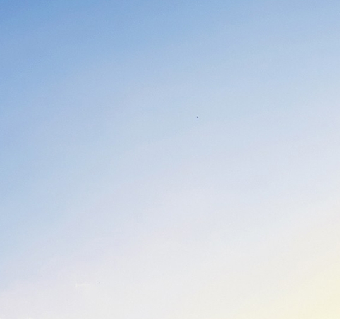 粉象生活怎么收益