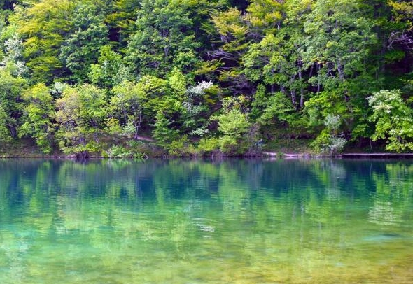 粉象生活在哪里填写别人的邀请码