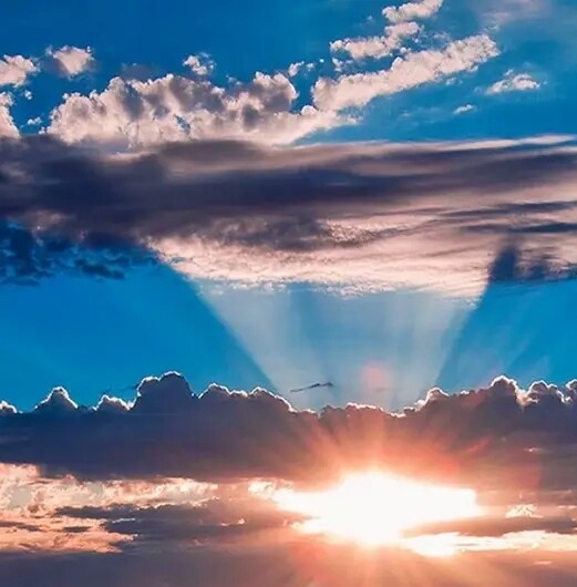 社交电商粉象生活是真的吗