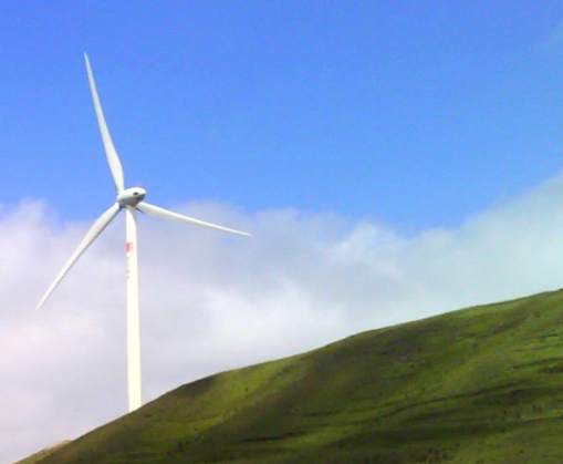 粉象生活用的什么软件