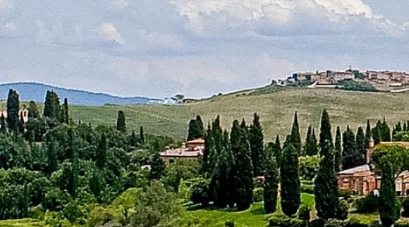 粉象生活可以赚钱吗