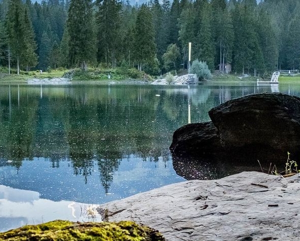 粉象生活邀请码