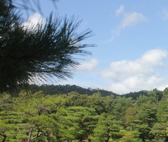 众象直贷可靠吗