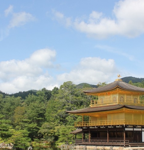 粉象如何升级vip