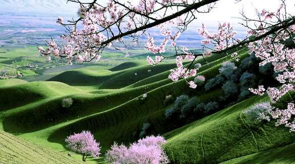 粉象生活自己能买吗