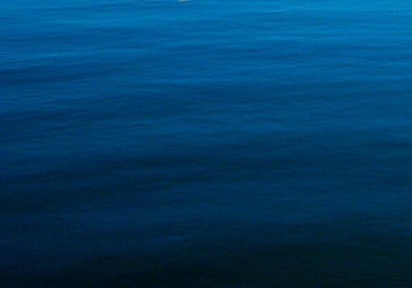 粉象生活怎么把推荐人删了