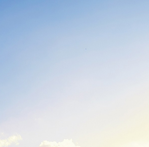 粉象生活下载app