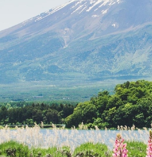 阳江粉象生活合伙人