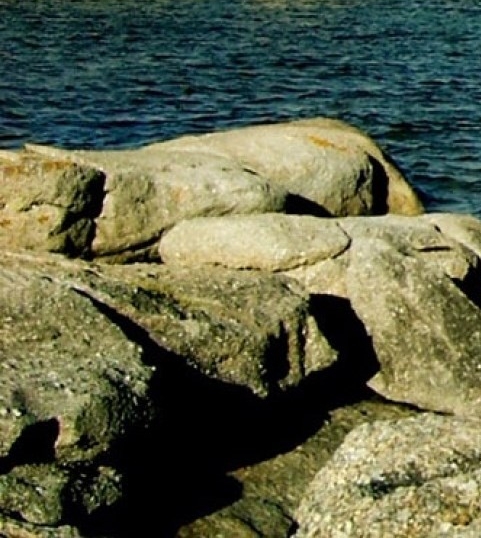 粉象生活怎么玩