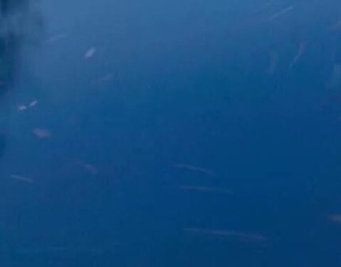 粉象生活怎么注销邀请码