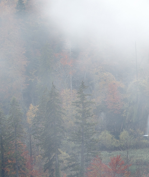 粉象生活是干嘛的