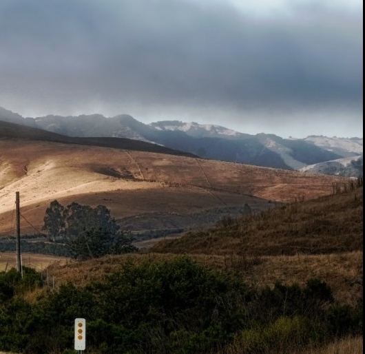 粉象生活邀请码规则详解