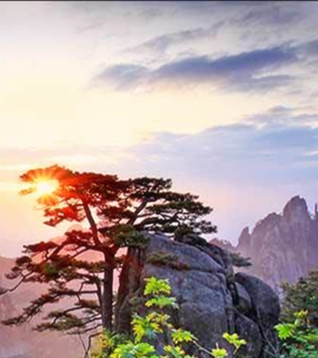 粉象生活需要办理什么手续