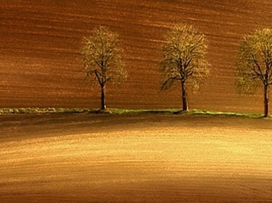 粉象生活发朋友圈怎么写