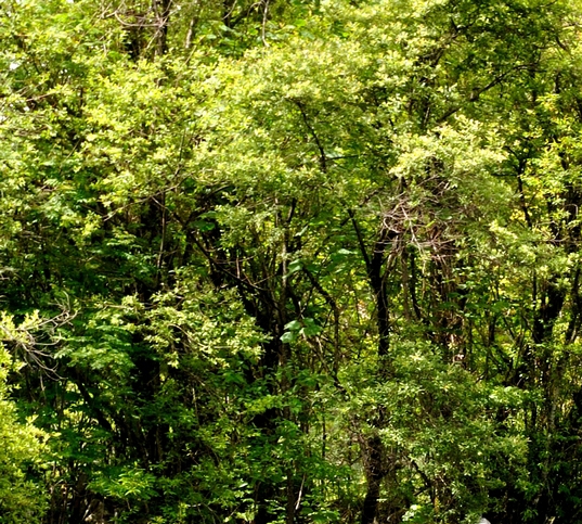 江苏粉象生活会员