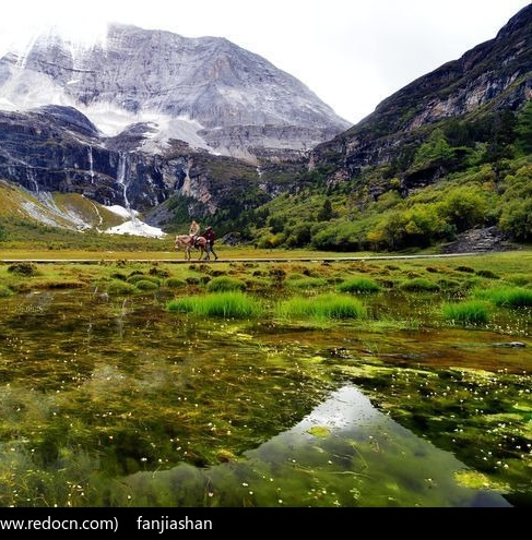 粉象生活怎么赚钱