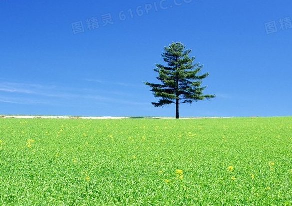 粉象如何删除邀请人