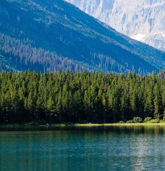 粉象生活是干嘛的