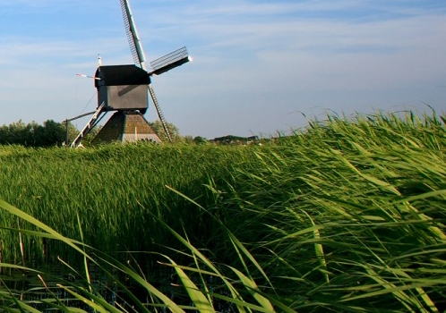 粉象生活的粉丝可以提现吗