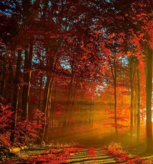 谁做过粉象生活