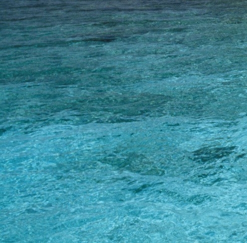 广东粉象生活如何使用