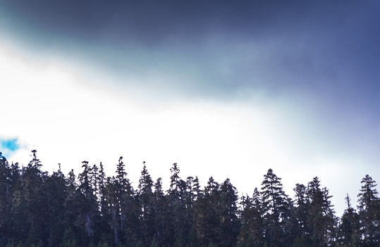 粉象生活分享赚是怎么赚钱的