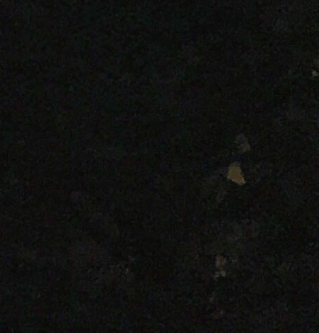 广东粉象生活赚钱