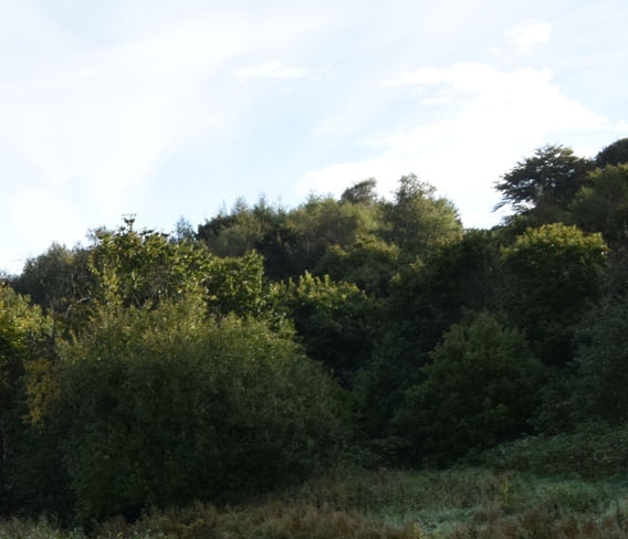 粉象生活靠什么盈利