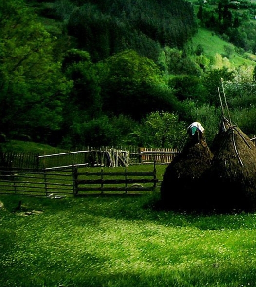 粉象生活邀请码填哪个好