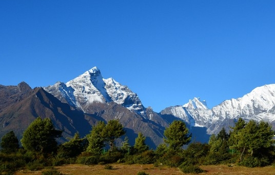 粉象生活的购物车在哪里