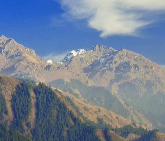 粉象生活下载app