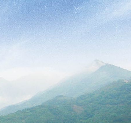 粉象生活下载