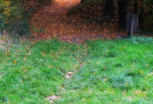 粉象生活可以赚钱吗