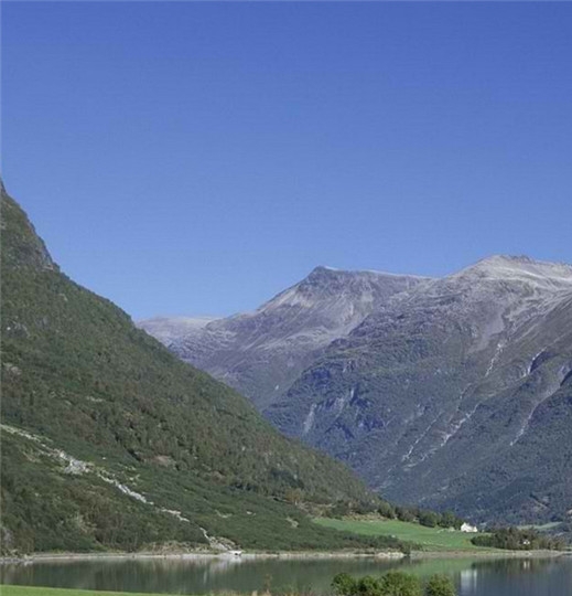 粉象生活里面是正品吗