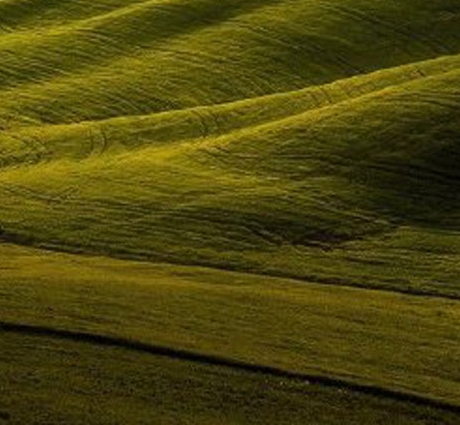 粉象生活下载app