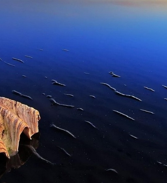 如何成为粉象vip会员