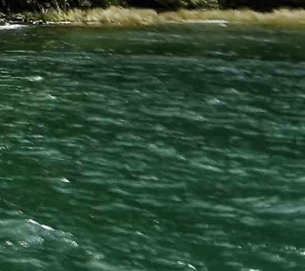 粉象生活赚钱教程