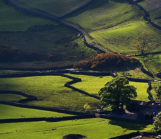 粉象生活的店铺怎么注销