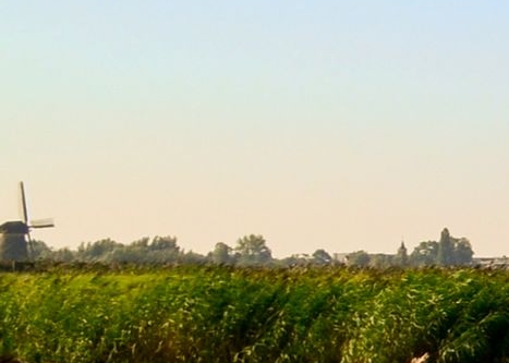 粉象生活品牌词文章