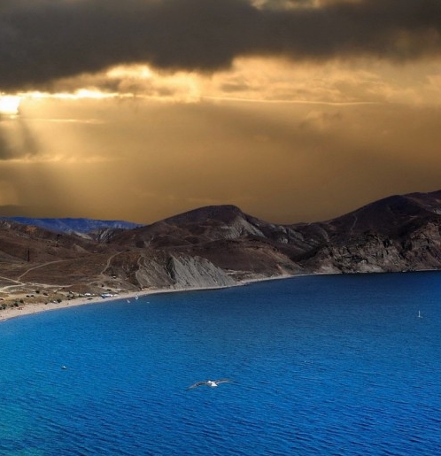 粉象生活能赚到钱吗