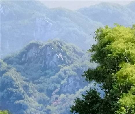 粉象生活介绍