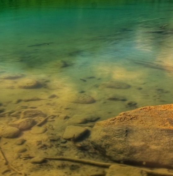 粉象生活要交钱吗